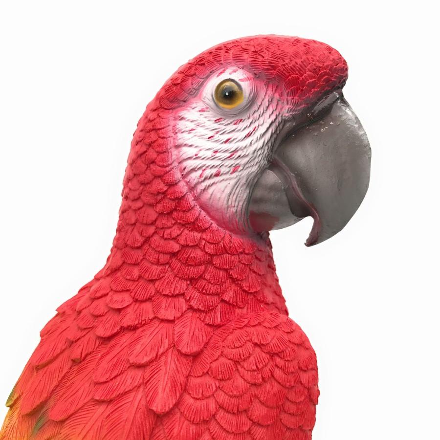 置物 木に止まる鳥 リアルな毛並み (オウム×レッド) : ノイ 置物 木に止まる鳥 リアルな毛並み (オウム×レッド) : ノイ