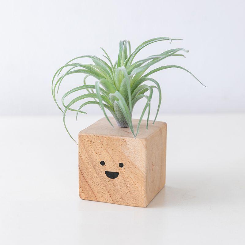 置物 フェイクグリーン 角型の木製の土台 顔のイラスト付き Eタイプ Mta6757c028 ノイシュタットyahoo 店 通販 Yahoo ショッピング