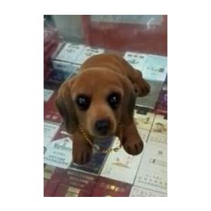 置物 首振りワンちゃん 犬 伏せのポーズ ダックスフンド Nyc1437c018 ノイシュタットyahoo 店 通販 Yahoo ショッピング