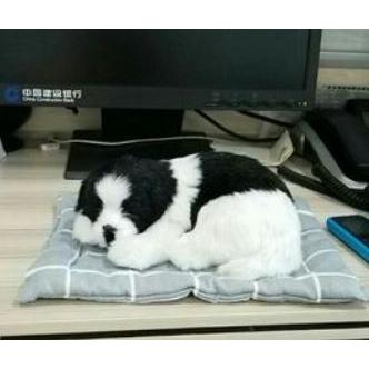 置物 座布団の上で眠るリアルなワンちゃん ボーダーコリー 大サイズ Nyc2992c054 ノイシュタットyahoo 店 通販 Yahoo ショッピング