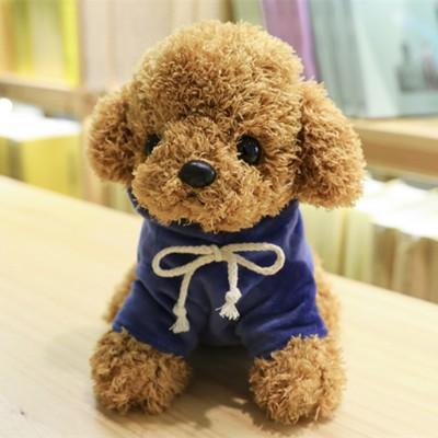 トイプードルのふわふわエアリースタイル トリミングサロン ドッグアシル 浜松市東区のトリミング ペットホテル