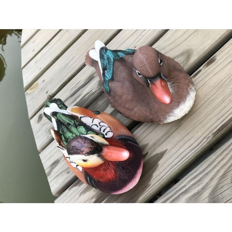 ガーデンオーナメント 水に浮く置物 リアルな鴨のつがい 2個セット 小サイズ Nyc3974c068 ノイシュタットyahoo 店 通販 Yahoo ショッピング
