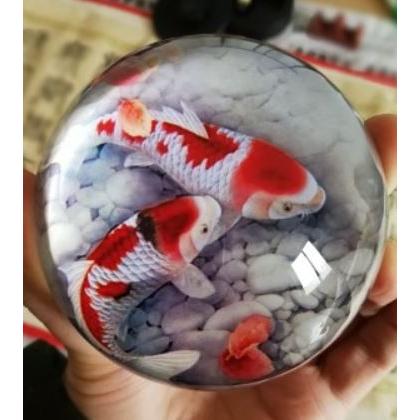 金魚置物らんちゅうペーパーウェイト取っ手オブジェインテリア