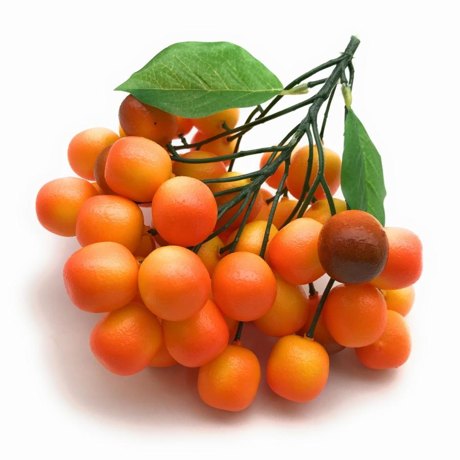 食品サンプル 枝付きキンカン 金柑 食品模型 リアルな果物 Nyc6759c016 ノイシュタットyahoo 店 通販 Yahoo ショッピング