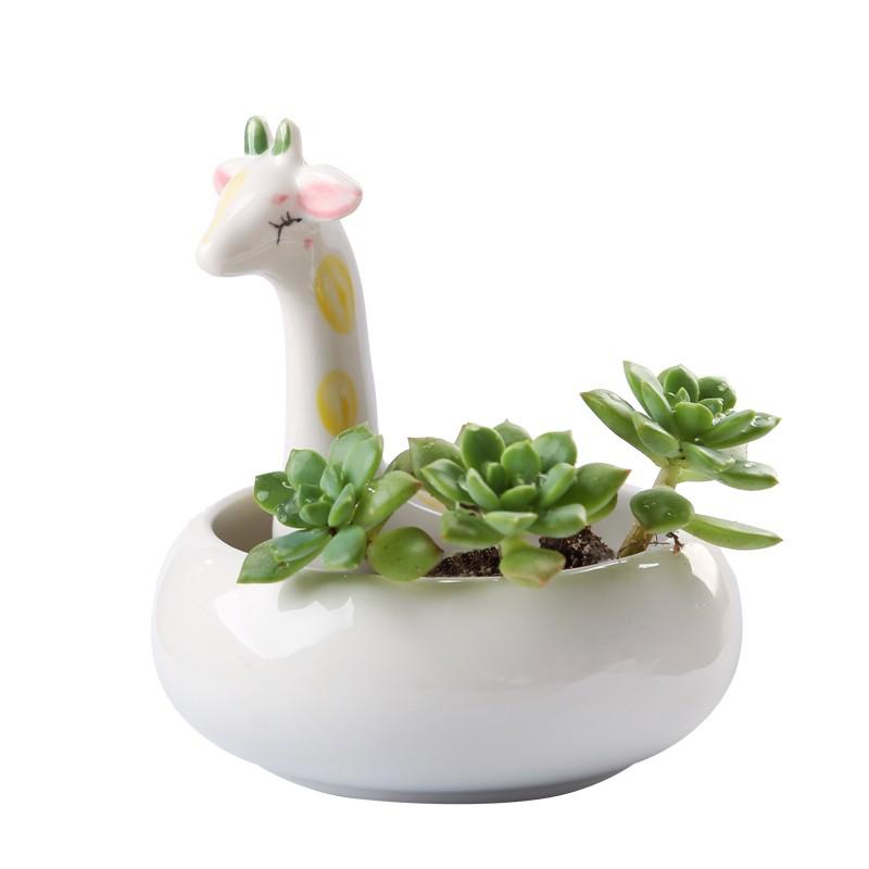 全品送料0円 ミニプランター フラワーポット 笑顔のキリンさん 陶器製 卓上サイズ 円型 花瓶 花器 Www We Job Com