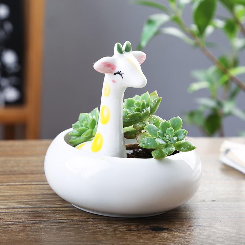 全品送料0円 ミニプランター フラワーポット 笑顔のキリンさん 陶器製 卓上サイズ 円型 花瓶 花器 Www We Job Com