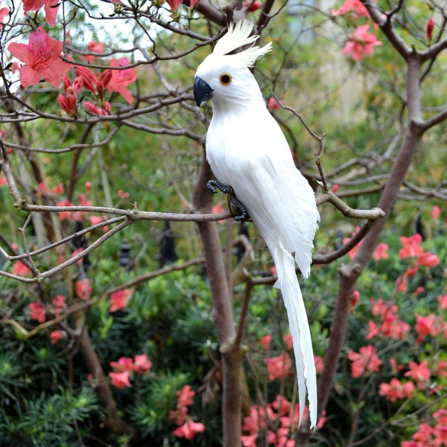 ガーデンオブジェ オーナメント 白いオウム 固定用の針金付き Och19c022 ノイシュタットyahoo 店 通販 Yahoo ショッピング