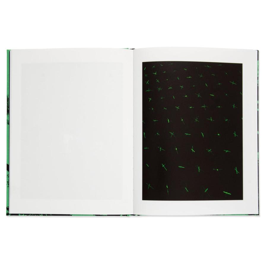 Matthew Connors: Fire in Cairoの画像