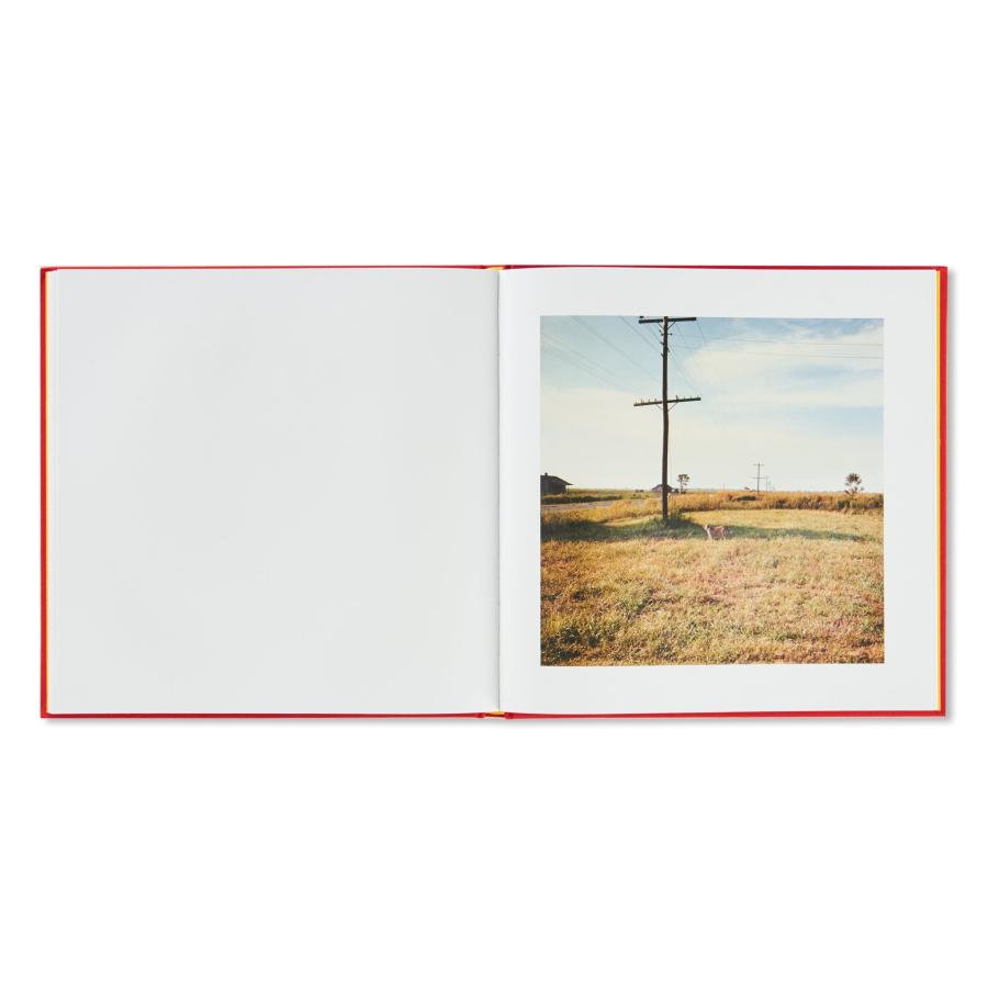 William Eggleston: 2 1/4の画像
