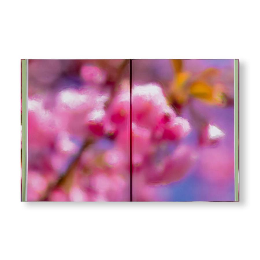 Paul Graham: Verdigris / Ambergrisの画像