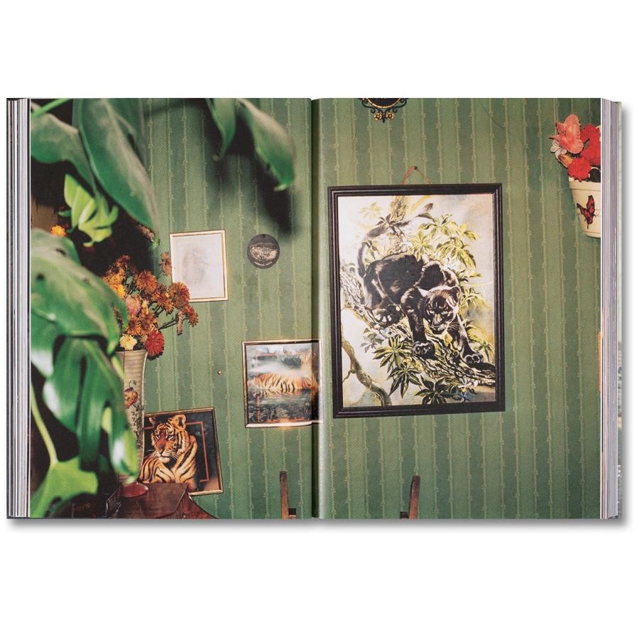 Richard Billingham: Ray's a Laughの画像