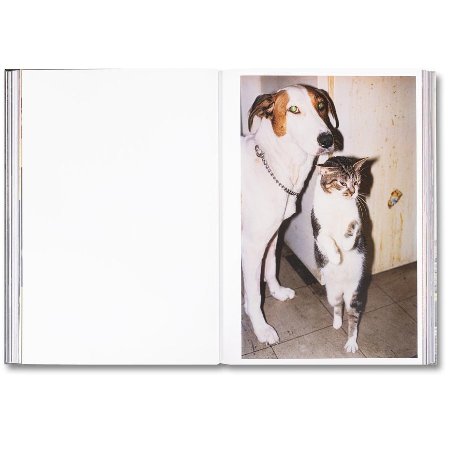 Richard Billingham: Ray's a Laughの画像
