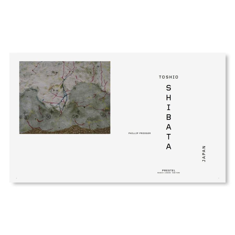 Toshio Shibata: Japanの画像