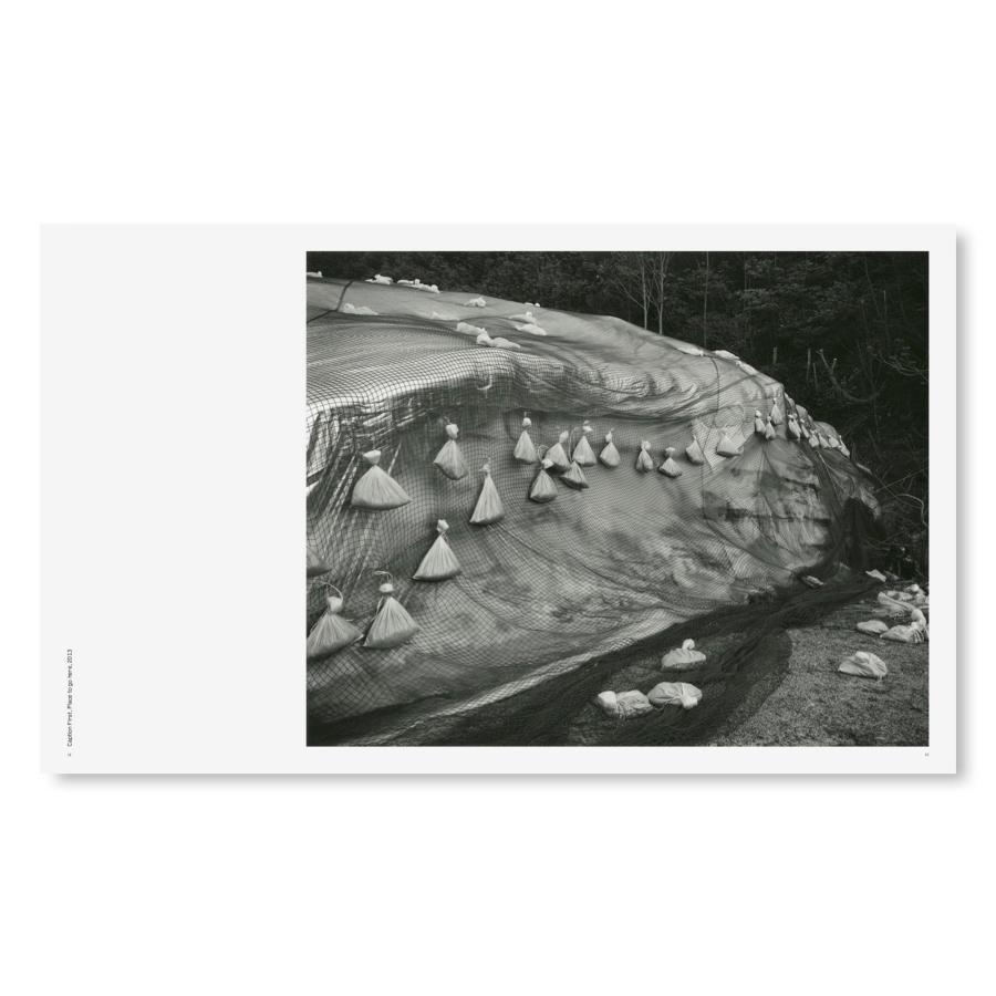 Toshio Shibata: Japanの画像