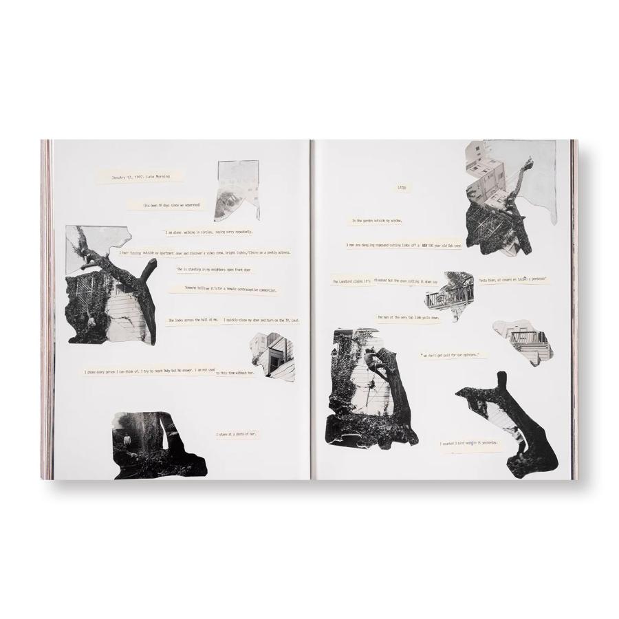 Jim Goldberg: Coming and Goingの画像