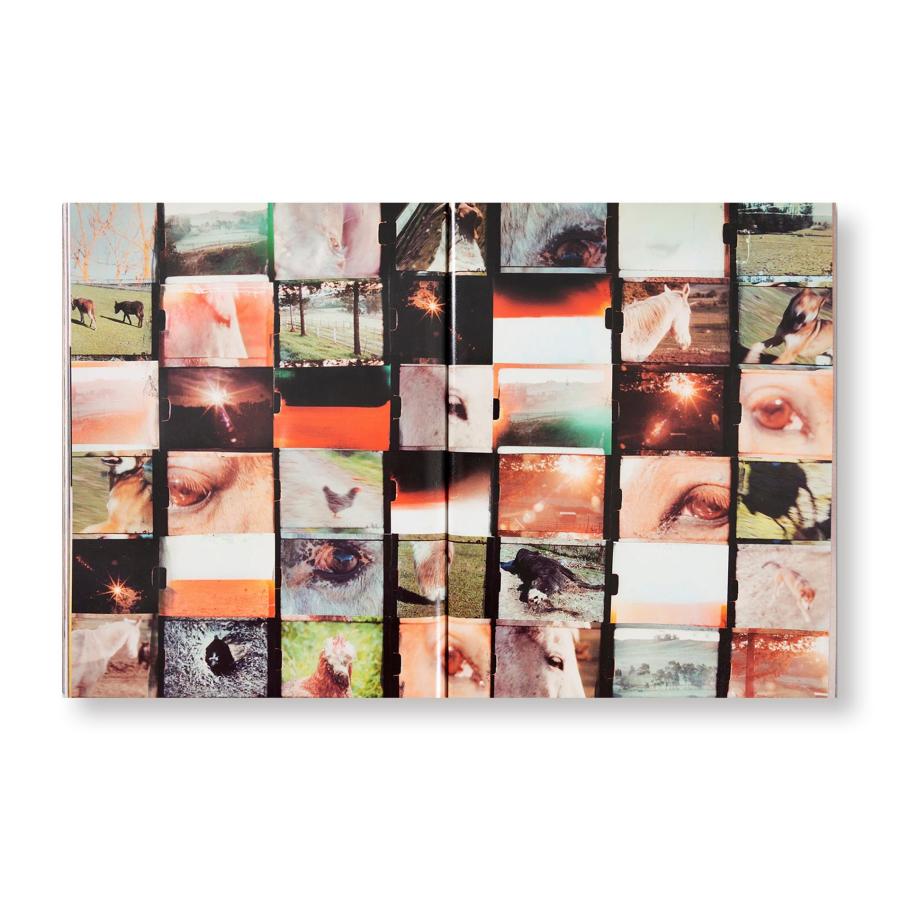 Jim Goldberg: Coming and Goingの画像