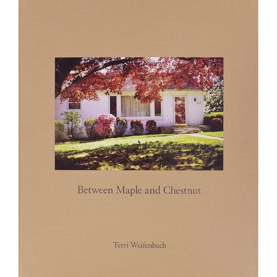2026年最新】Yahoo!オークション - terri weifenbach(本、雑誌)の中古