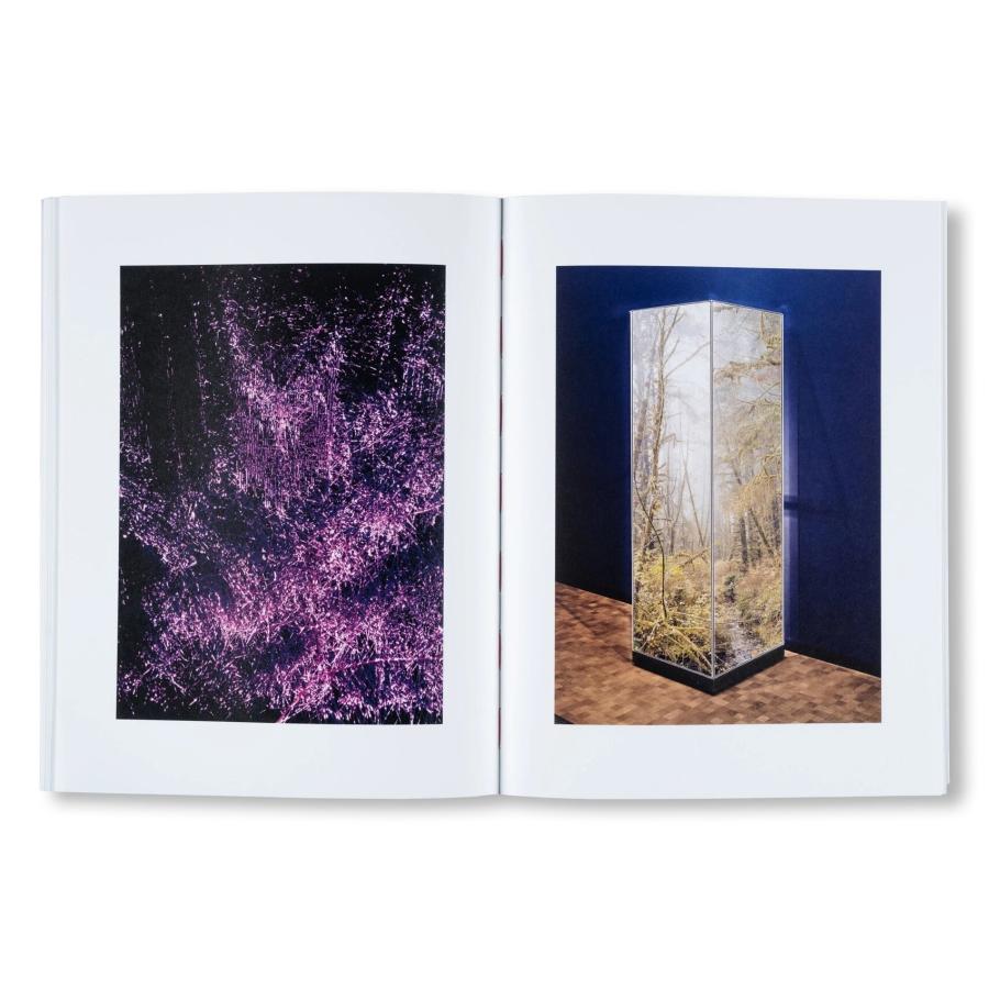Taiyo Onorato \u0026 Nico Krebs: Future Memoriesの画像