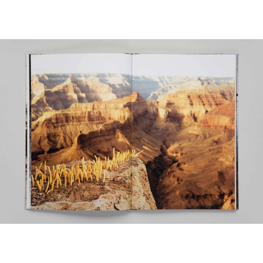 Taiyo Onorato \u0026 Nico Krebs: The Great Unrealの画像