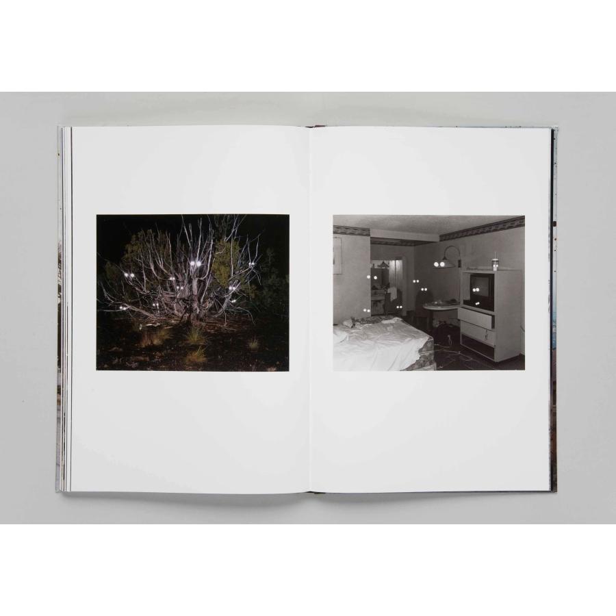 Taiyo Onorato \u0026 Nico Krebs: The Great Unrealの画像