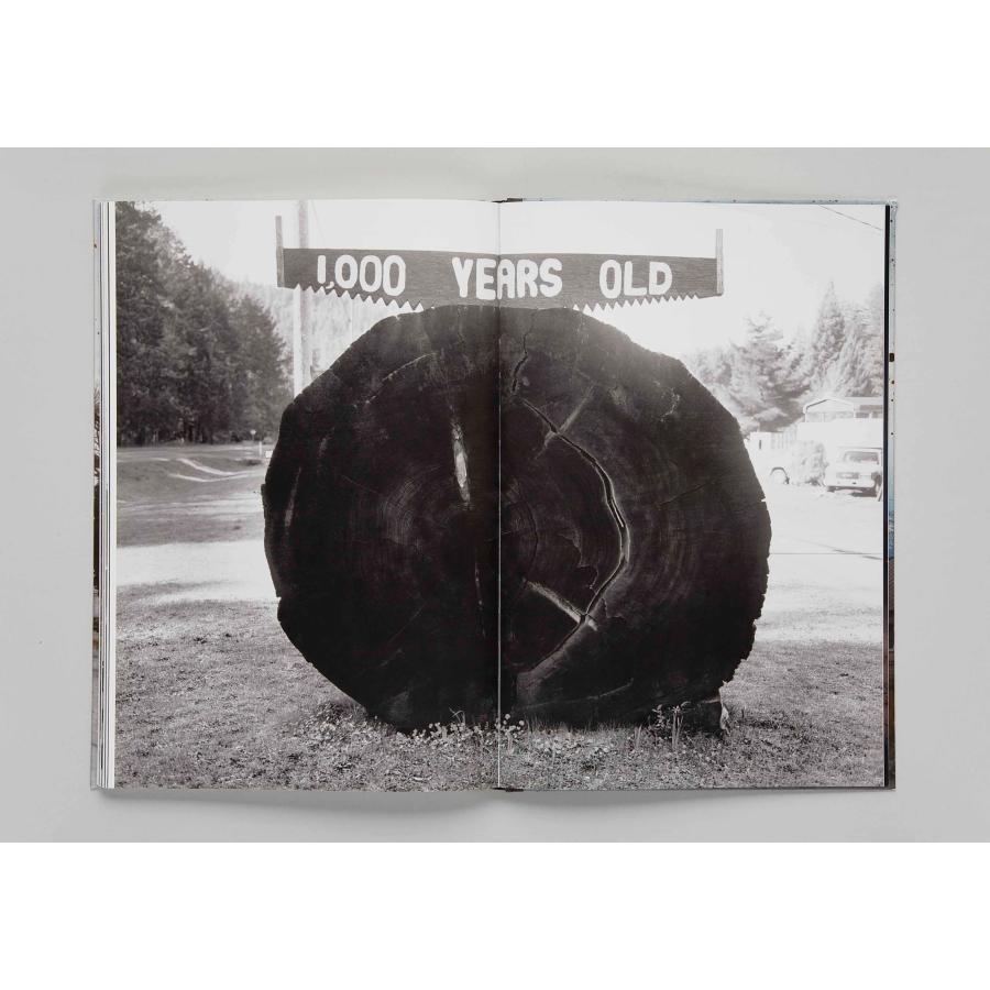 Taiyo Onorato \u0026 Nico Krebs: The Great Unrealの画像