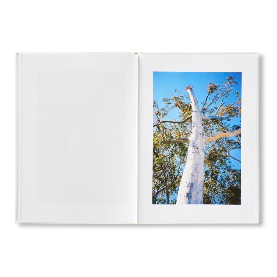 Ren Hang: Athens Loveの画像