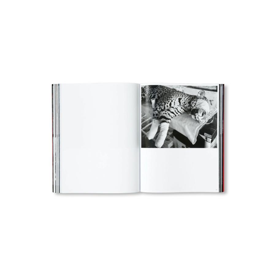 Richard Mosse: Broken Spectreの画像