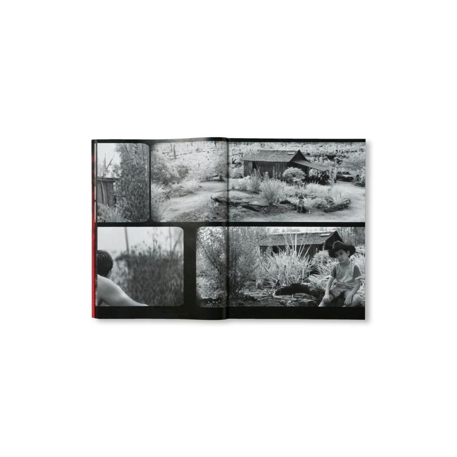 Richard Mosse: Broken Spectreの画像