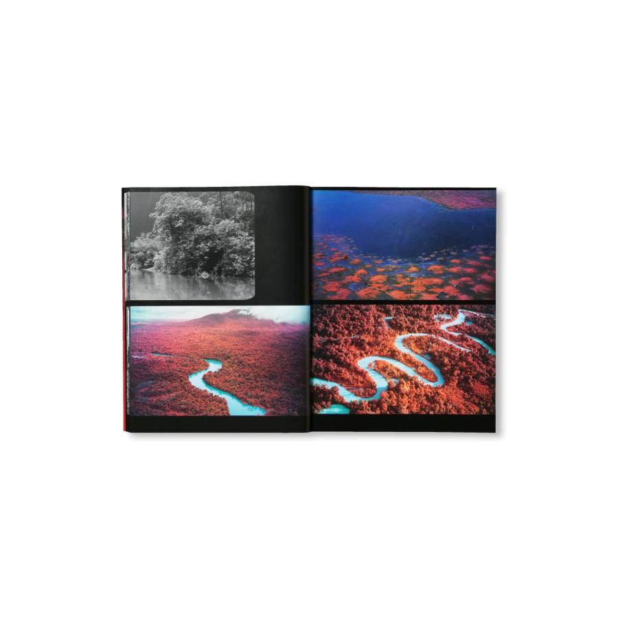 Richard Mosse: Broken Spectreの画像