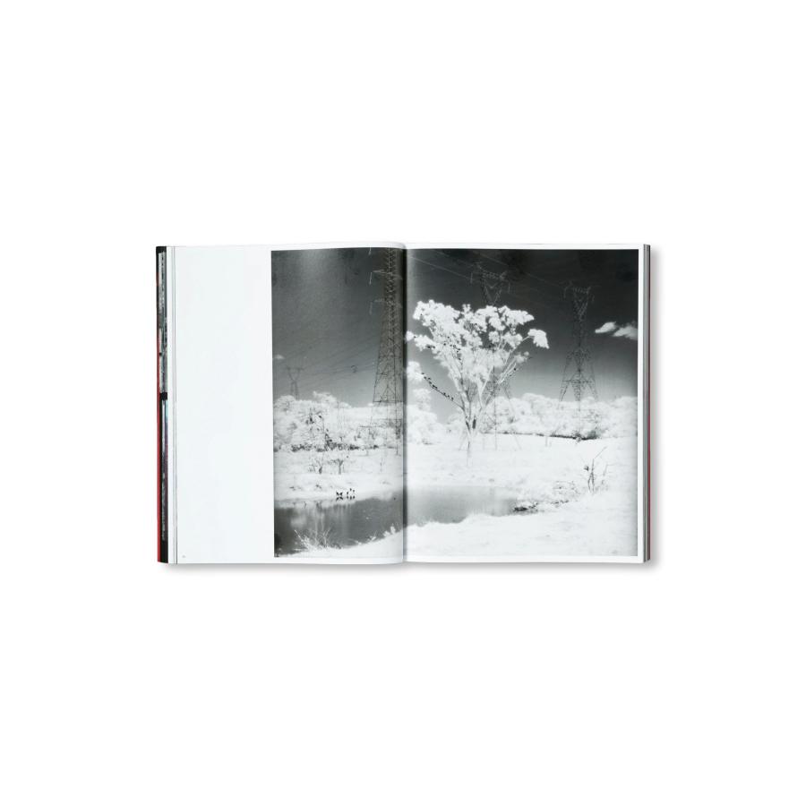 Richard Mosse: Broken Spectreの画像