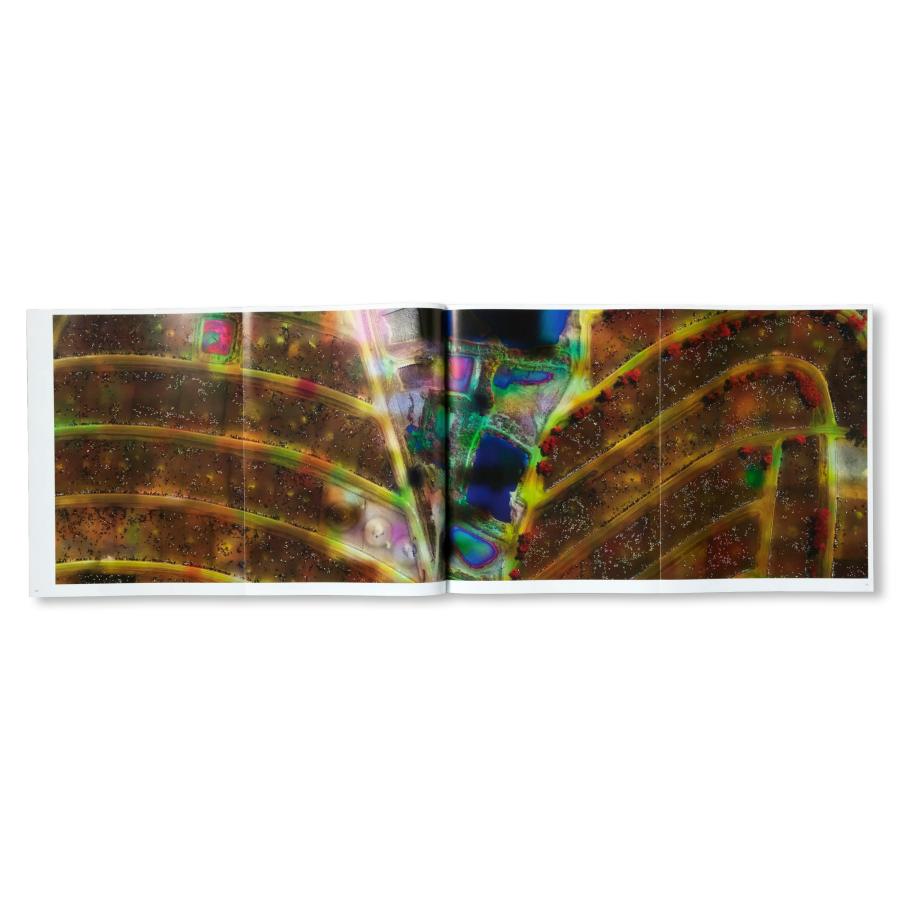 Richard Mosse: Broken Spectreの画像