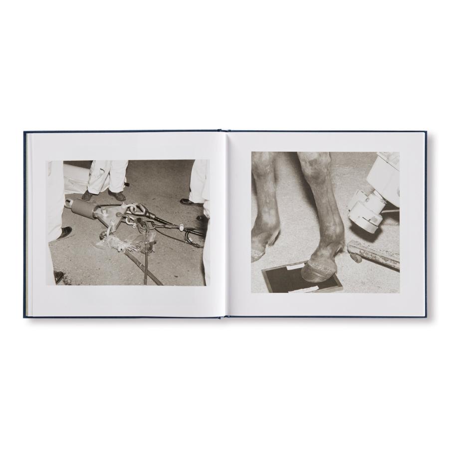 Larry Sultan \u0026 Mike Mandel: Evidenceの画像