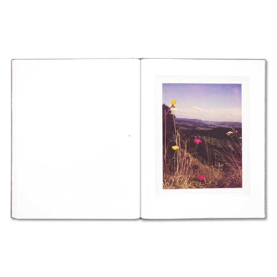 Collier Schorr: Augustの画像