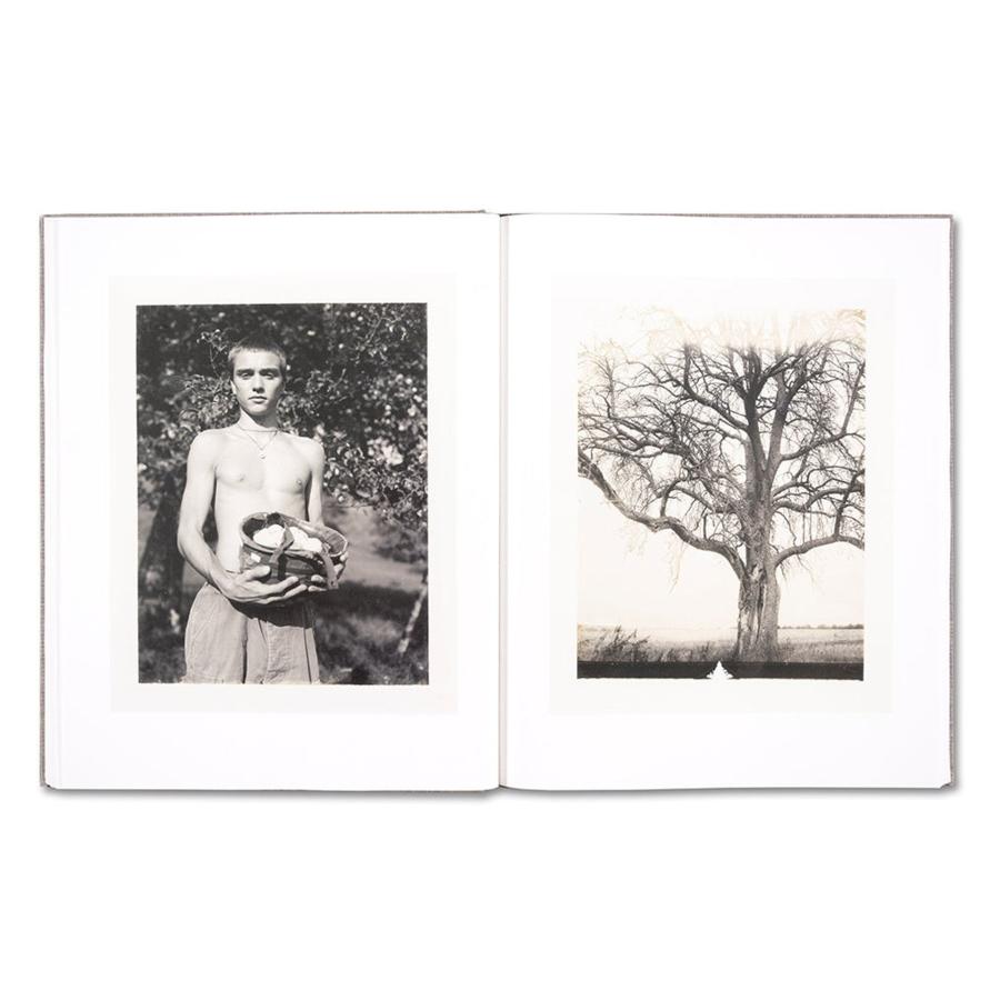 Collier Schorr: Augustの画像