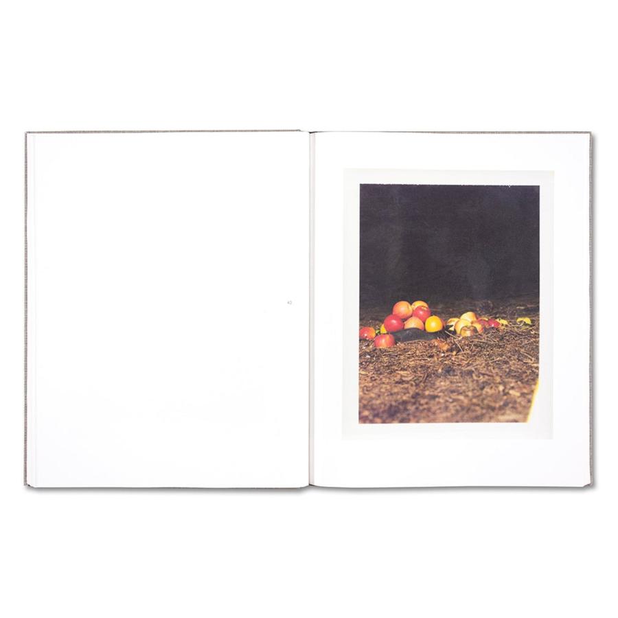 Collier Schorr: Augustの画像