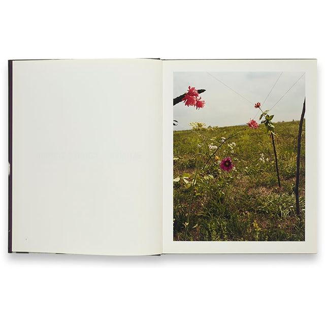 Collier Schorr: Blumenの画像