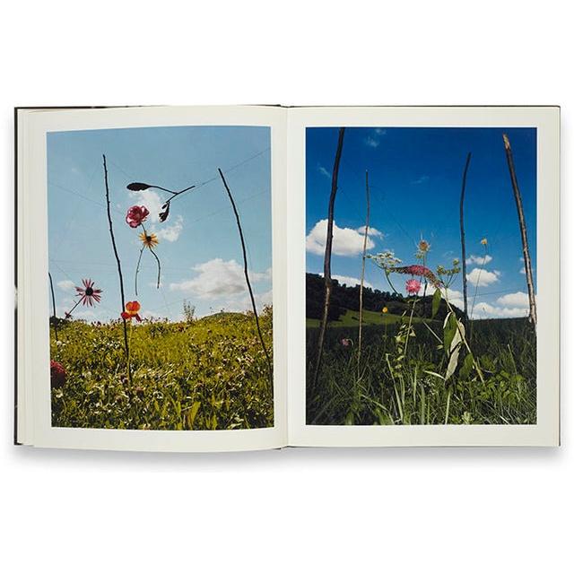 Collier Schorr: Blumenの画像