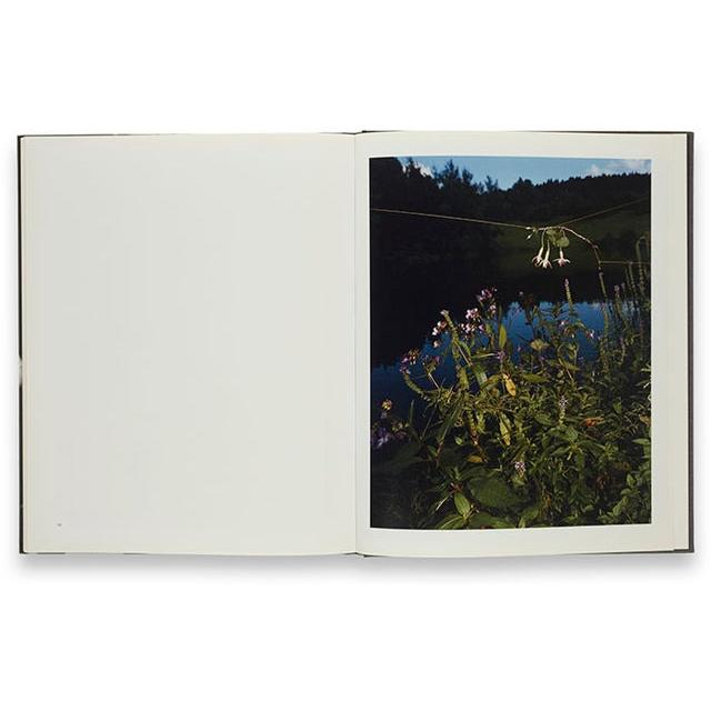 Collier Schorr: Blumenの画像