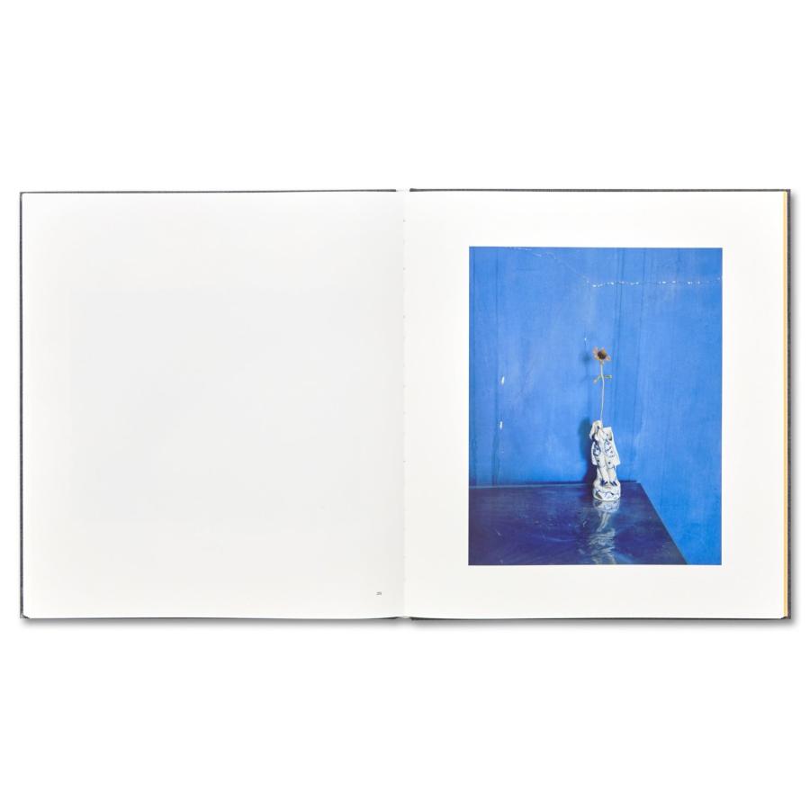 Alec Soth: I Know How Furiously Your Heart Is Beatingの画像