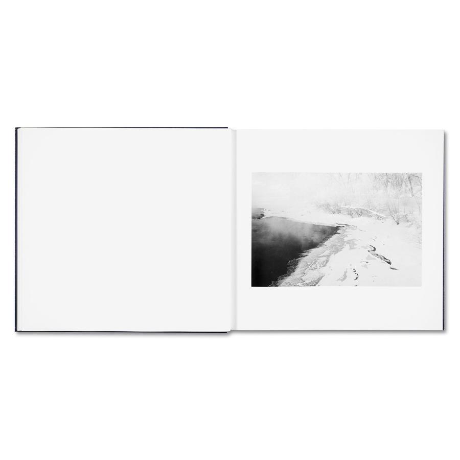 Alessandra Sanguinetti: Some Say Iceの画像