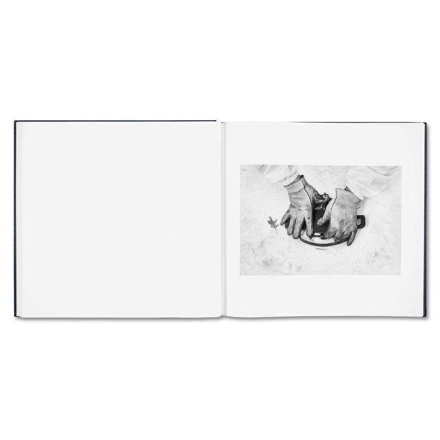 Alessandra Sanguinetti: Some Say Iceの画像