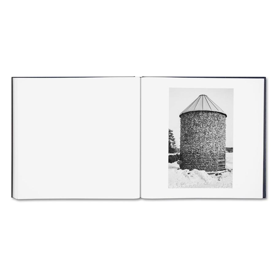 Alessandra Sanguinetti: Some Say Iceの画像