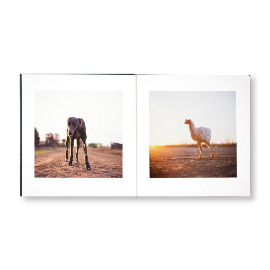 Alessandra Sanguinetti: On the Sixth Dayの画像