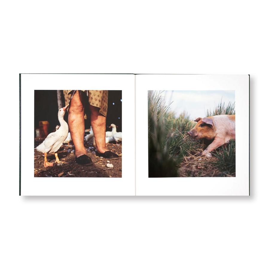 Alessandra Sanguinetti: On the Sixth Dayの画像