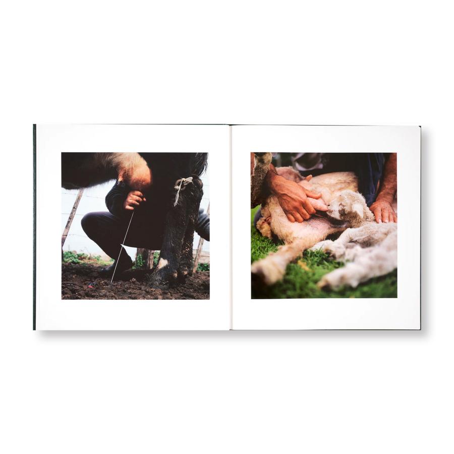 Alessandra Sanguinetti: On the Sixth Dayの画像