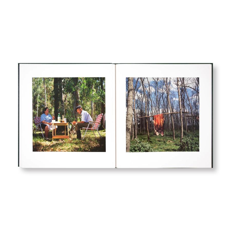 Alessandra Sanguinetti: On the Sixth Dayの画像