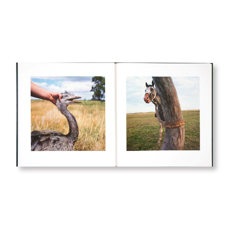 Alessandra Sanguinetti: On the Sixth Dayの画像