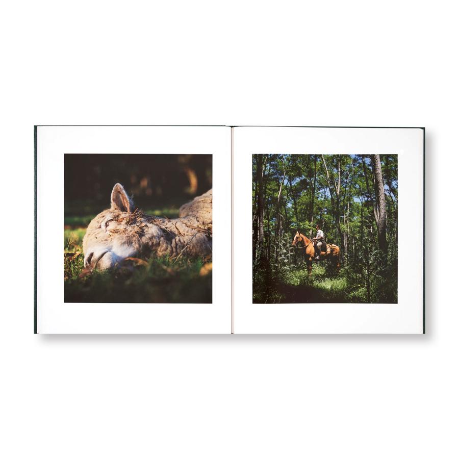 Alessandra Sanguinetti: On the Sixth Dayの画像