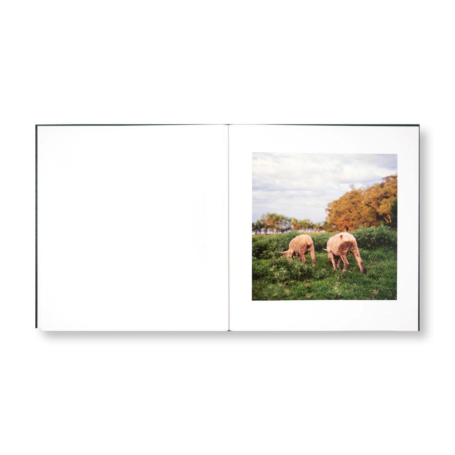 Alessandra Sanguinetti: On the Sixth Dayの画像