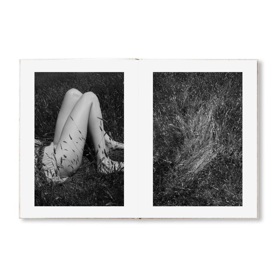 Viviane Sassen: Sol \u0026 Lunaの画像